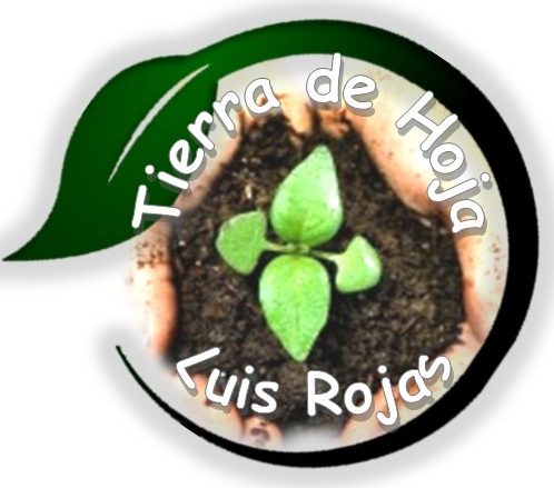 Tierra de Hojas Luis Rojas